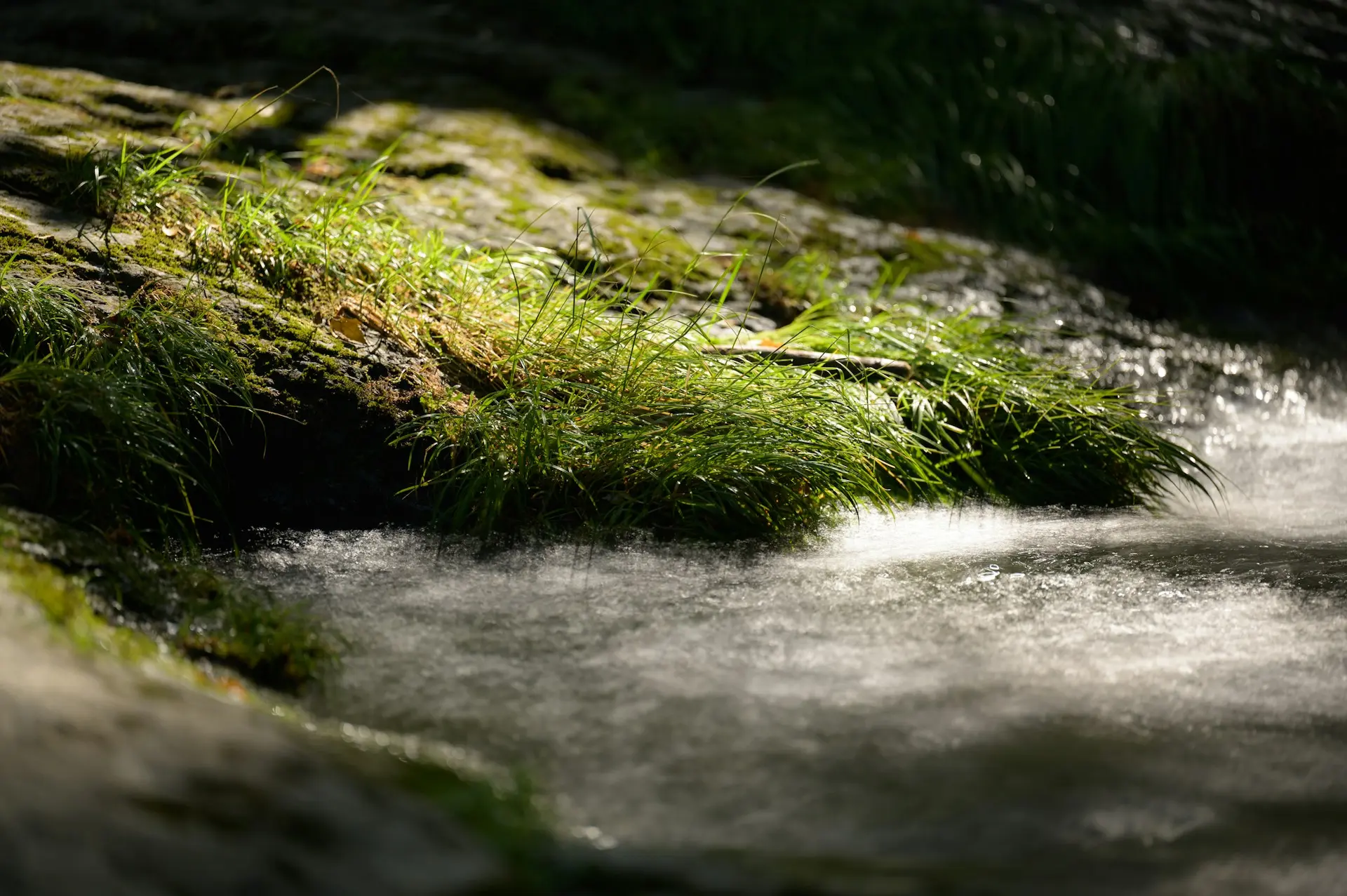atsushi-tsubokura-qylzU6i6Ohs-unsplash